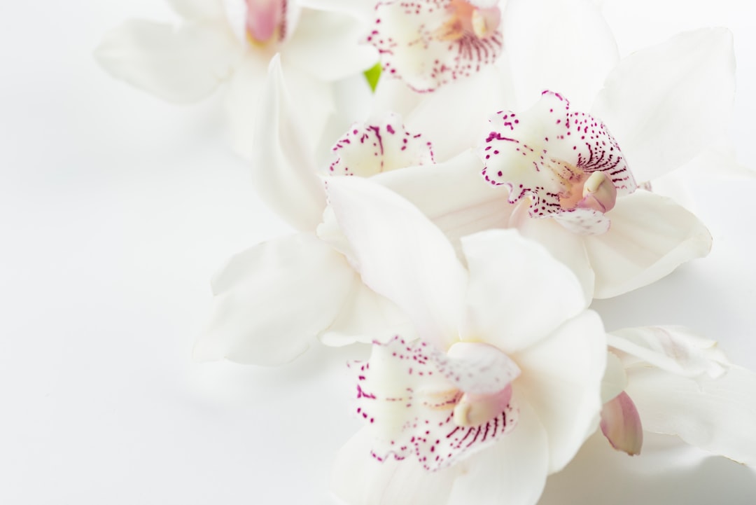 Garrity Funeral Home: Providing Compassionate Services